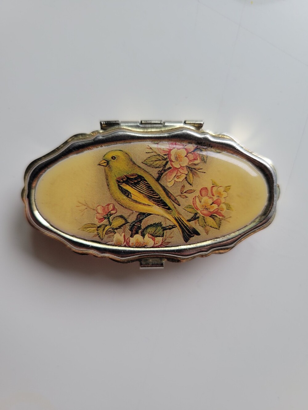 Vintage Bird Pill Box Grandmacore Cottagecore Deco